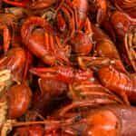 Crawfish