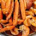 Shrimp