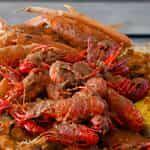 Snow Crab Legs & Crawfish