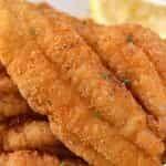 Catfish Fillet Combo
